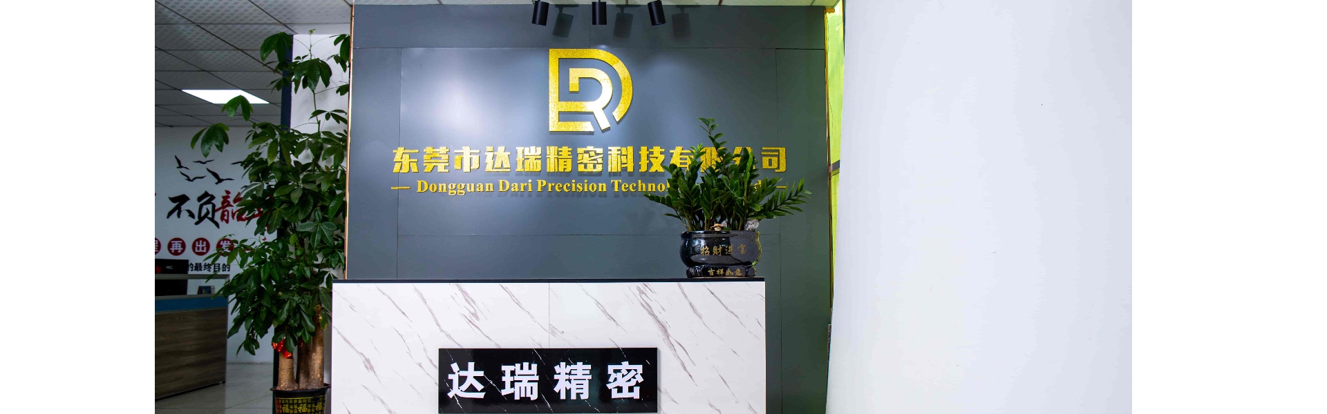 Moule en plastique, moulage par injection, coque en plastique,Dongguan Darui Precision Technology Co., Ltd.